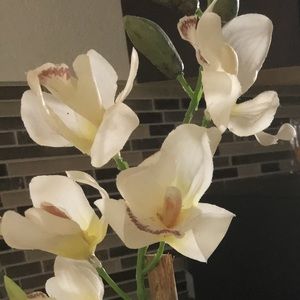 Meet your Posher, Estelani